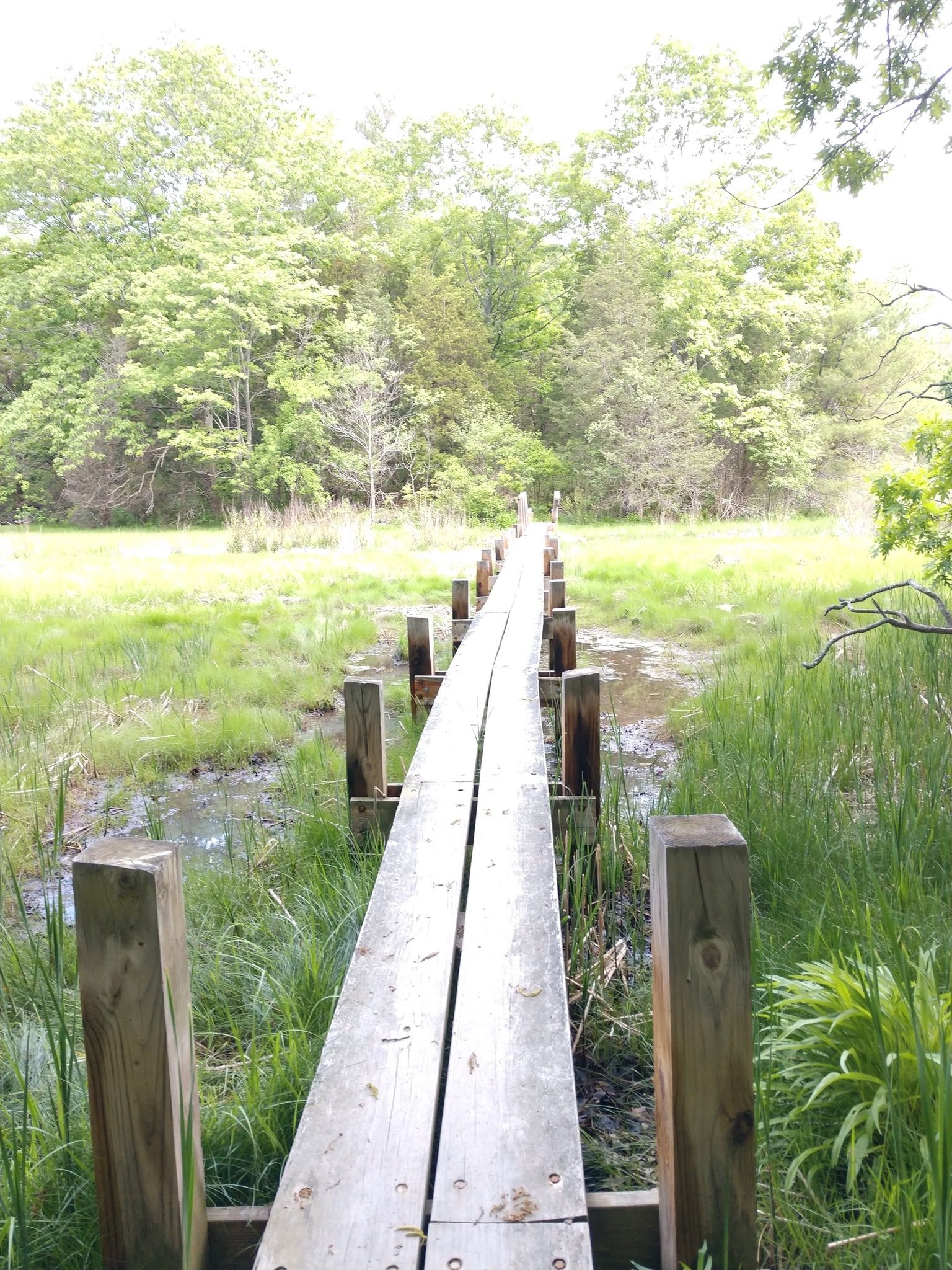 Walking Trails in Newburyport - Top 5 Faves - Wicked Northshore