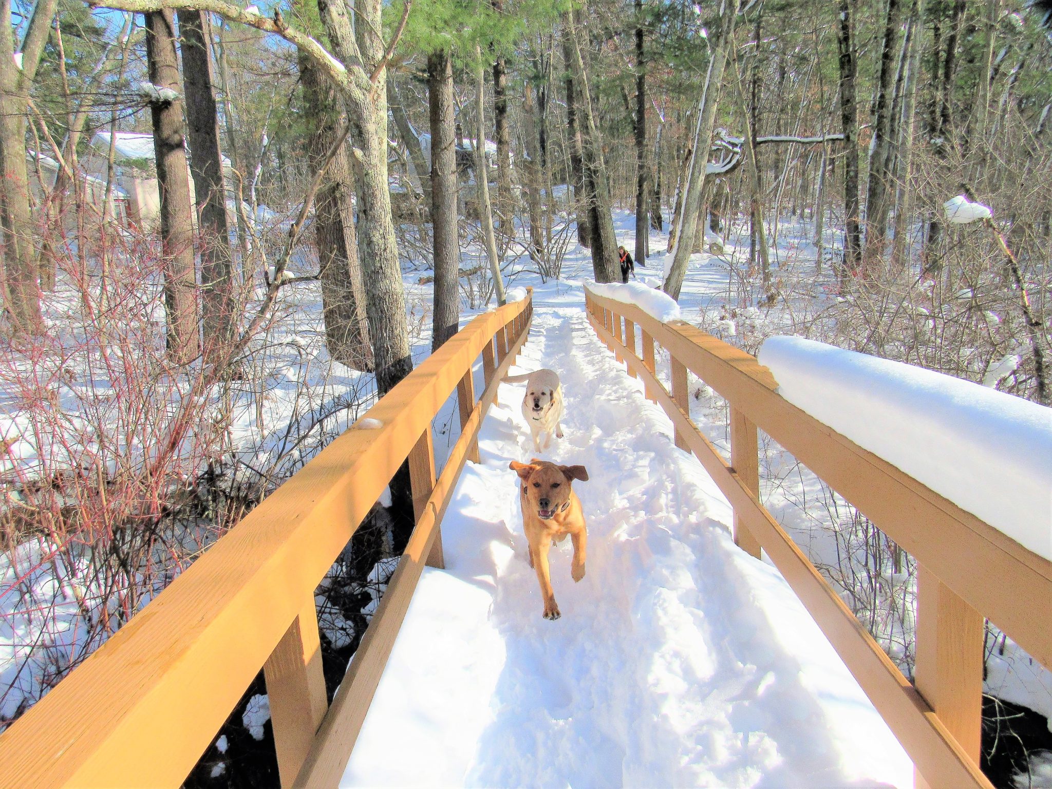 Life in New Hampshire: Salem NH - Wicked Northshore