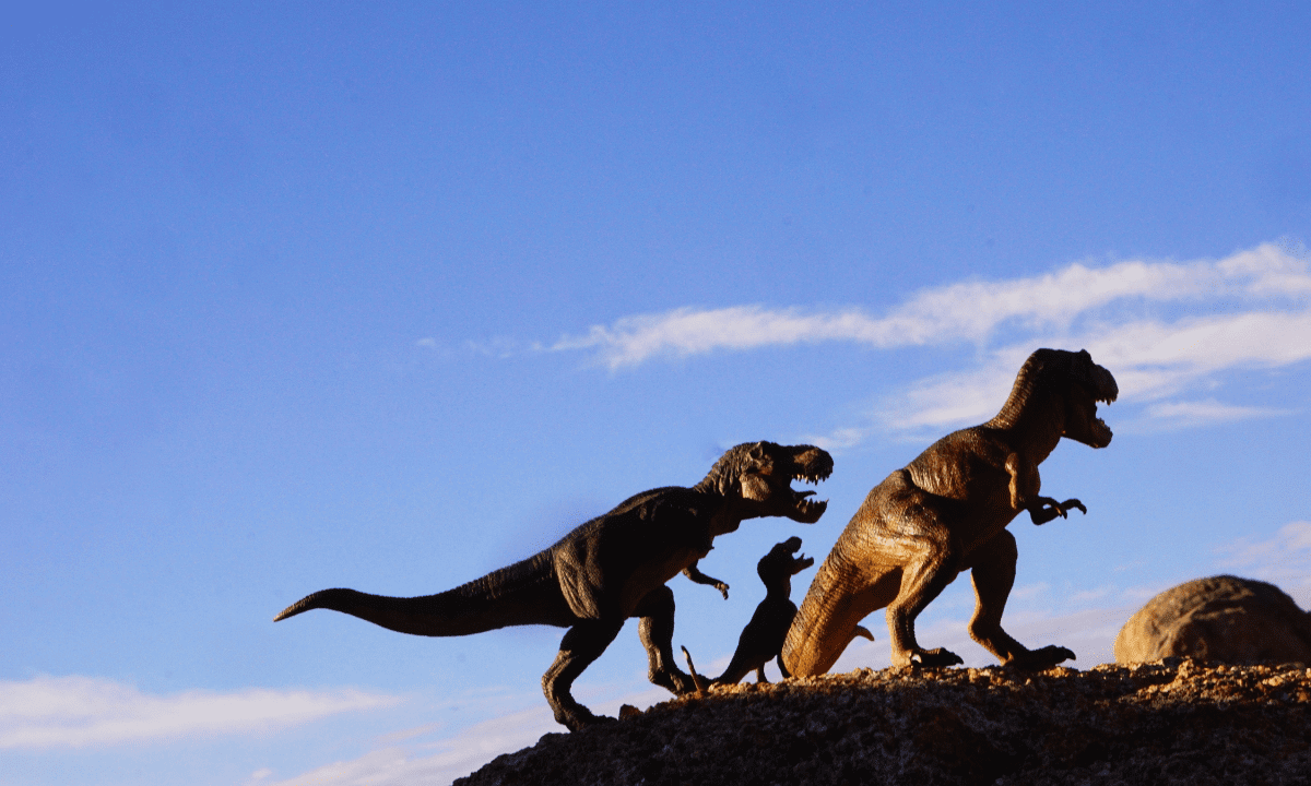 Dinosaur - T Rex - Things to do in Boston this weekend