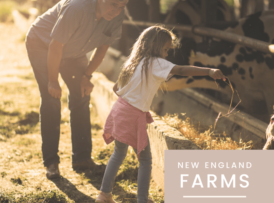 New England Farms