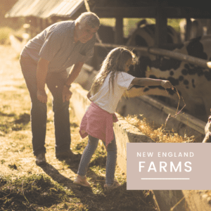 New England Farms