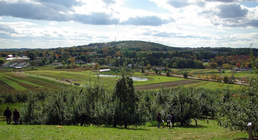 Cider Hill Farm - New England Farm in Amesbury